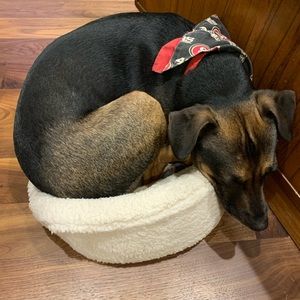 Meet your Posher, Stacey